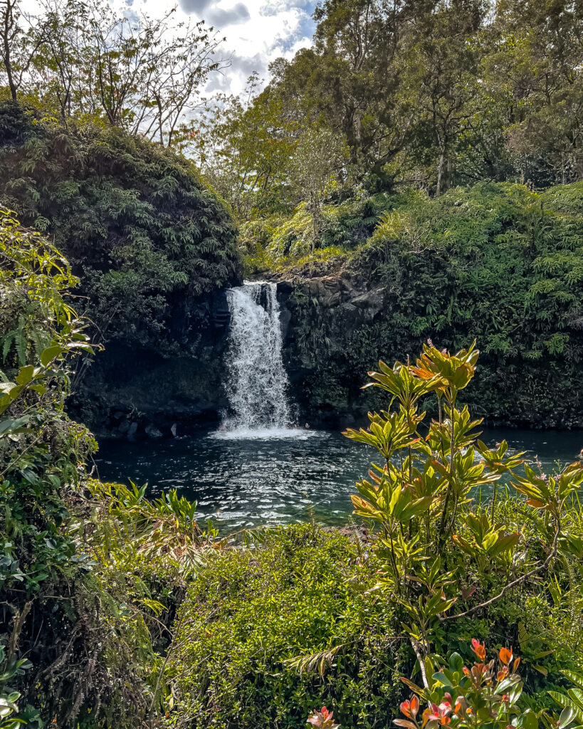 Twins Falls located off Hana Highway